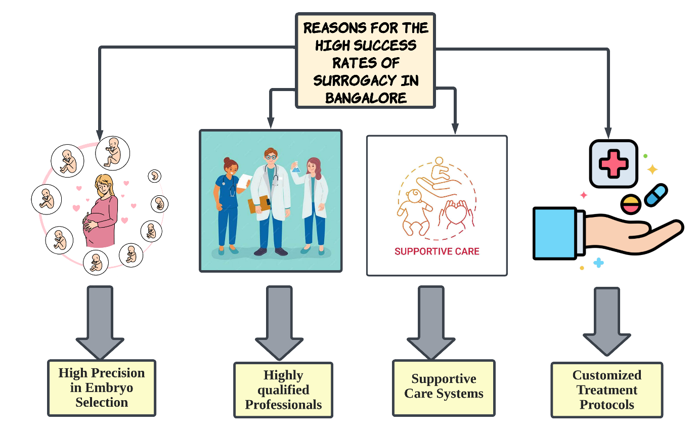 success rate in surrogacy in banaglore