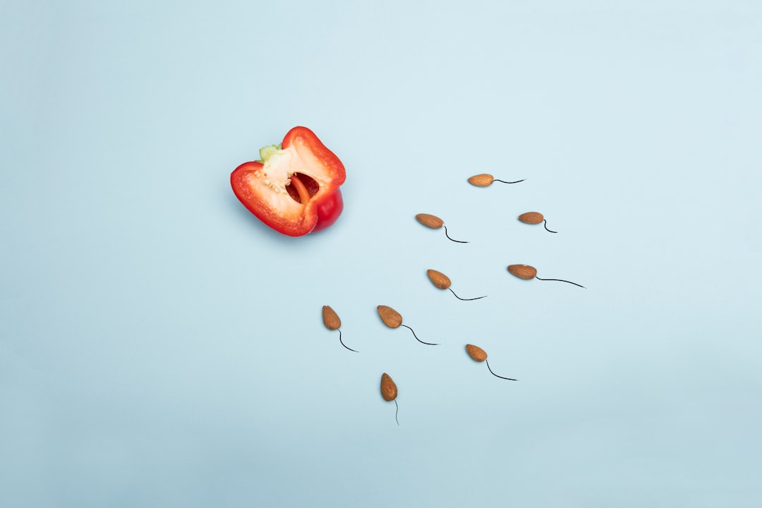 Understanding Surrogate Meaning and the Process of Surrogacy