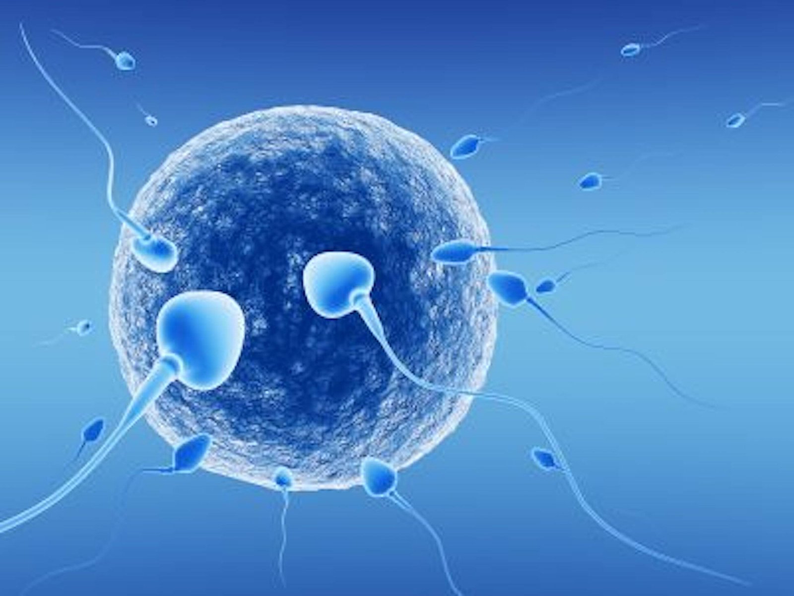 IVF Programs - Vinsfertility.com