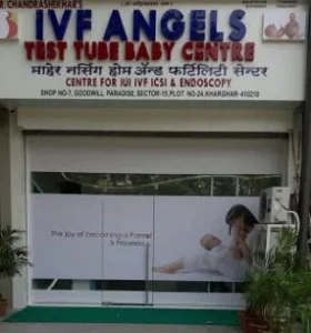 IVF Angel Test Tube Baby Centre