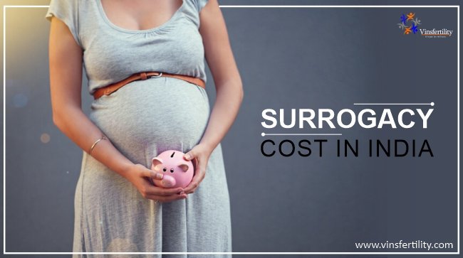 Surrogacy Cost in India: Surrogate Mother Cost in India, Low-cost Surrogacy Centres in India - Vinsfertility.com