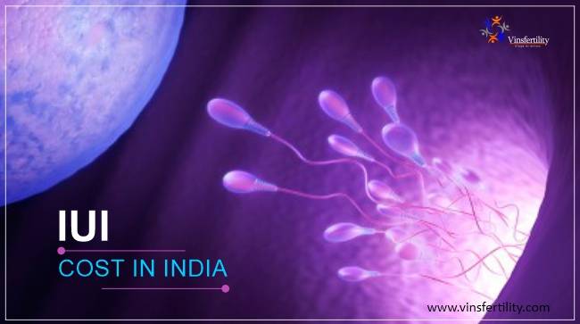 IUI Cost in India