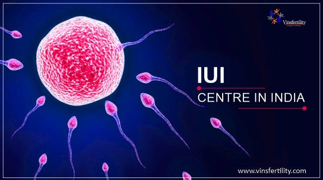 IUI centre in India