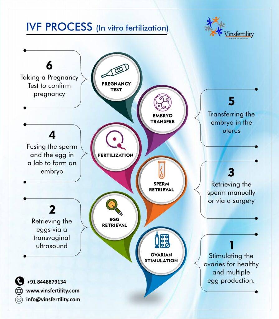 IVF process