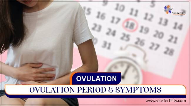 OVULATION