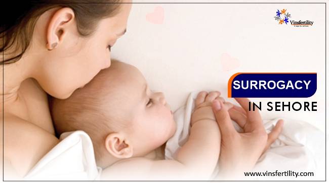 Best Surrogacy Centres in Sehore, Surrogacy Cost in Sehore, Madhya Pradesh