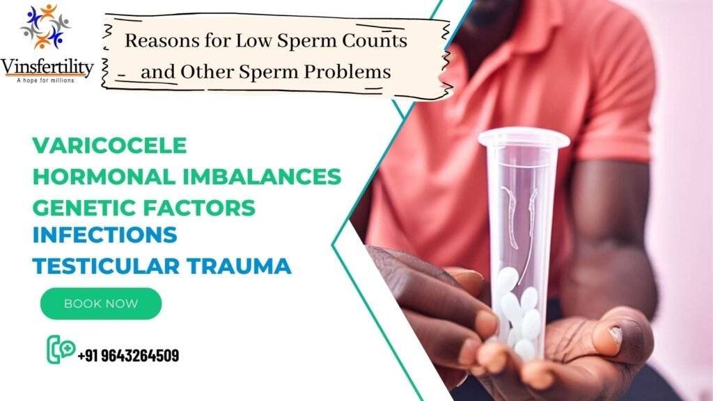 reason for low semen count