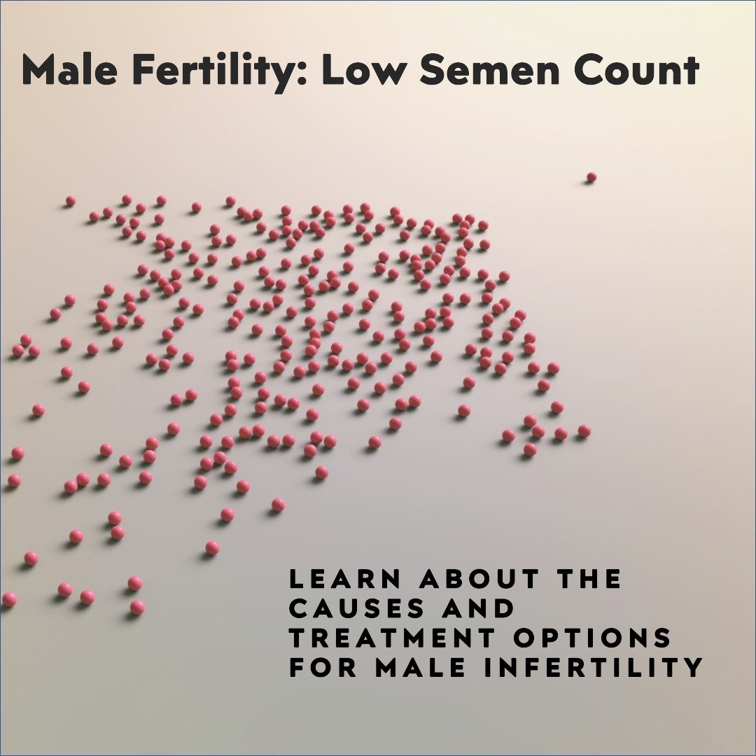 Male with fertility issue