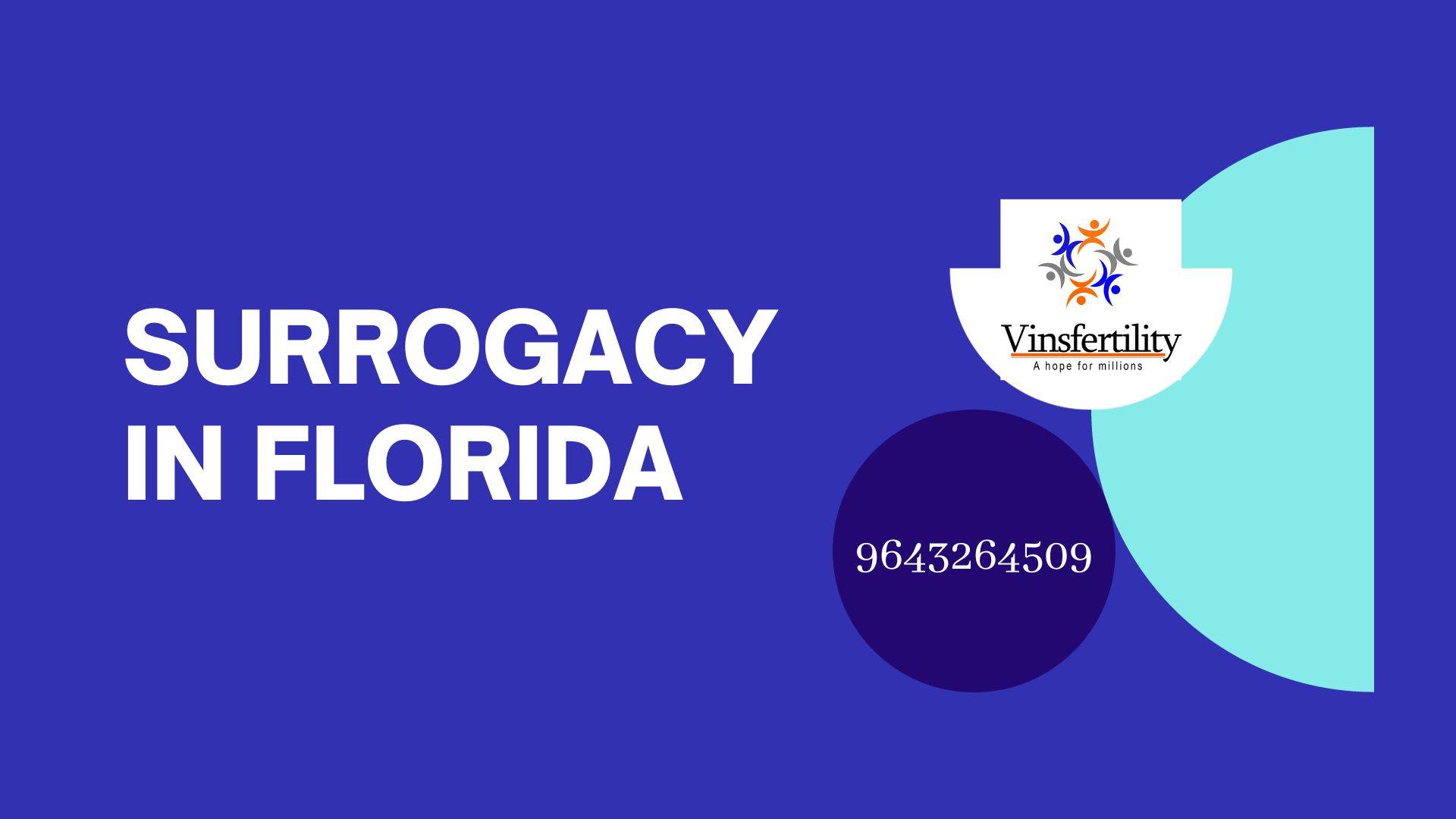 Surrogacy in Florida: Costs, Laws, and Choosing the Best Agency for Aspiring Surrogate Mothers
